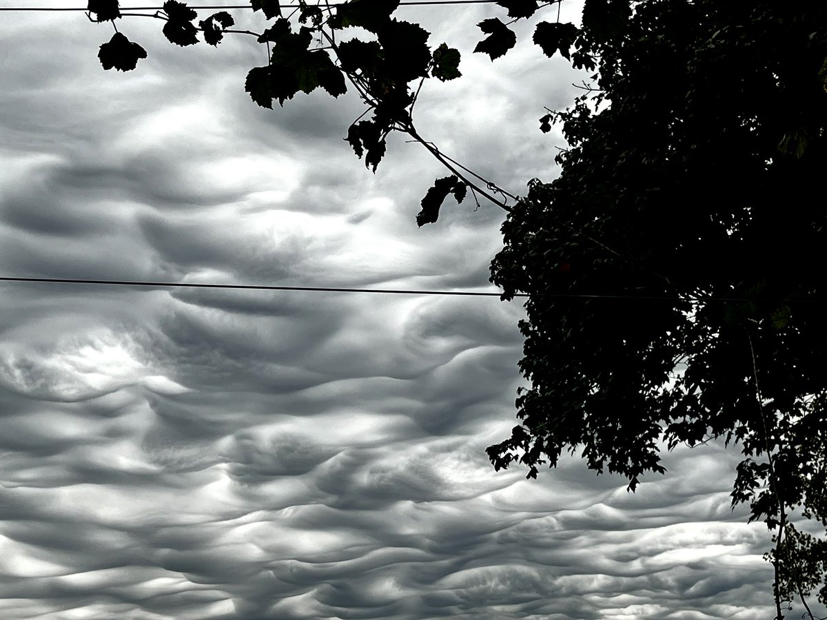 Kathy Bunka tweet media