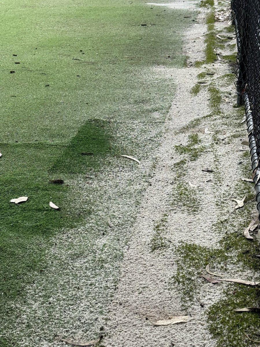 takvera's tweet photo. @PlanktonPundit @zeiss_micro Oh look what #microplastics I found at newly refurbished Merlynston Tennis Club with new sand filled artificial turf. These polyethylene fibres will be washed into stormwater and into #MerriCreek and #PortPhilip affecting aquatic ecosystems 
#Merribek #Melbourne https://t.co/mfydGT6aXY
