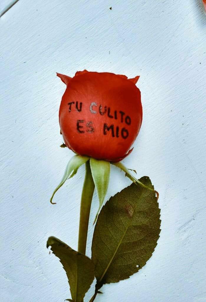 MexicoMagico's tweet photo. https://t.co/WaJfMkctqq