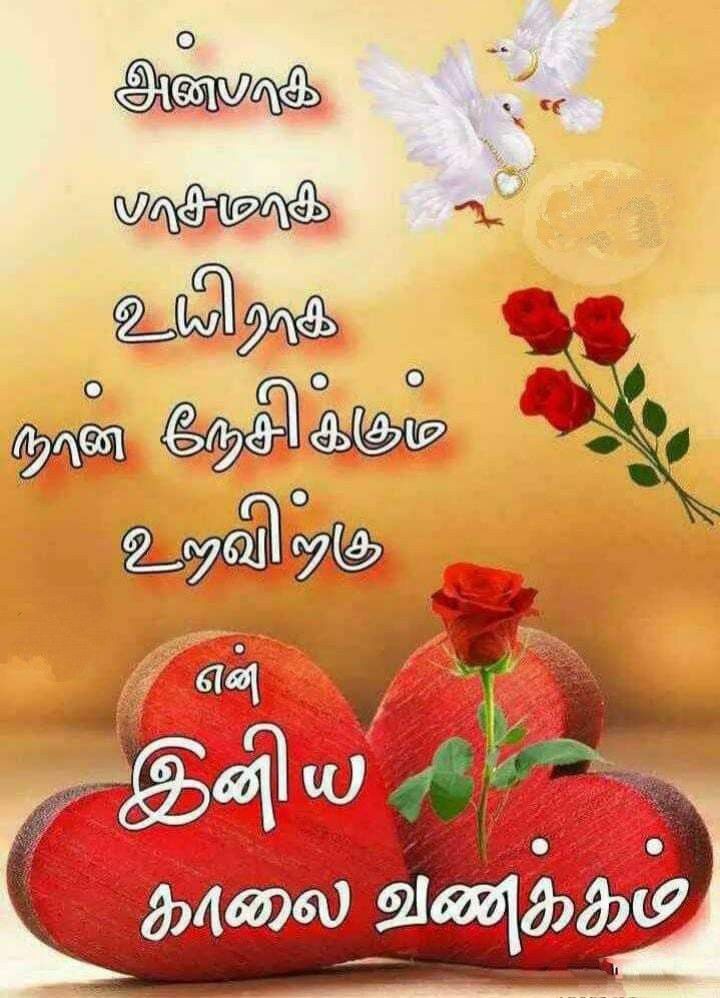 rose_cbe's tweet photo. காலை வணக்கம் https://t.co/ZBBQ8rLQdJ