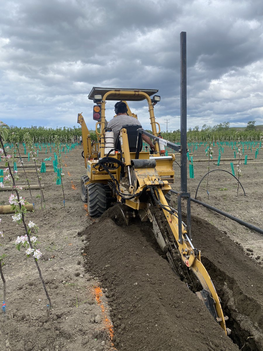 There’s a lot going on at the moment . Busy 🐝