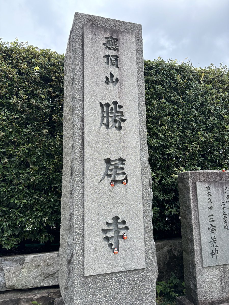 前川 黛也 tweet media