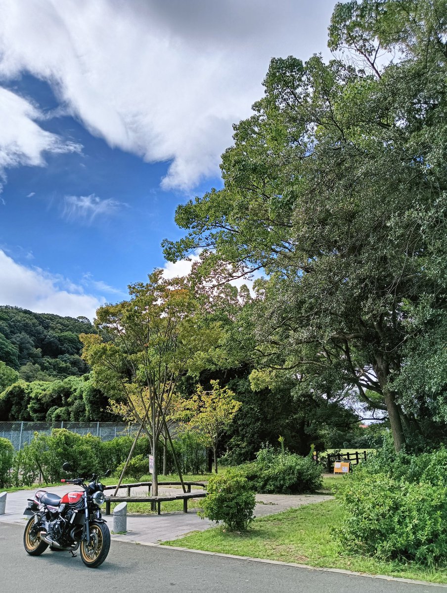 天気予報はあまりいい感じじゃなかったけれど青空が見えるいい天気です😀
加太まで🏍️🎵