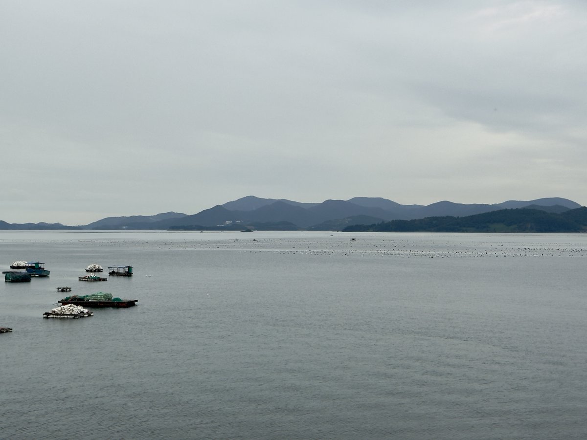Sangwoo2024's tweet photo. Good Morning from Korea.
It is the glooming day. But I hope it will be a happy day, too.

#Korea #Yeosu #SouthSea #GoodmorningtTwitterWorld https://t.co/77vWPsYP7V