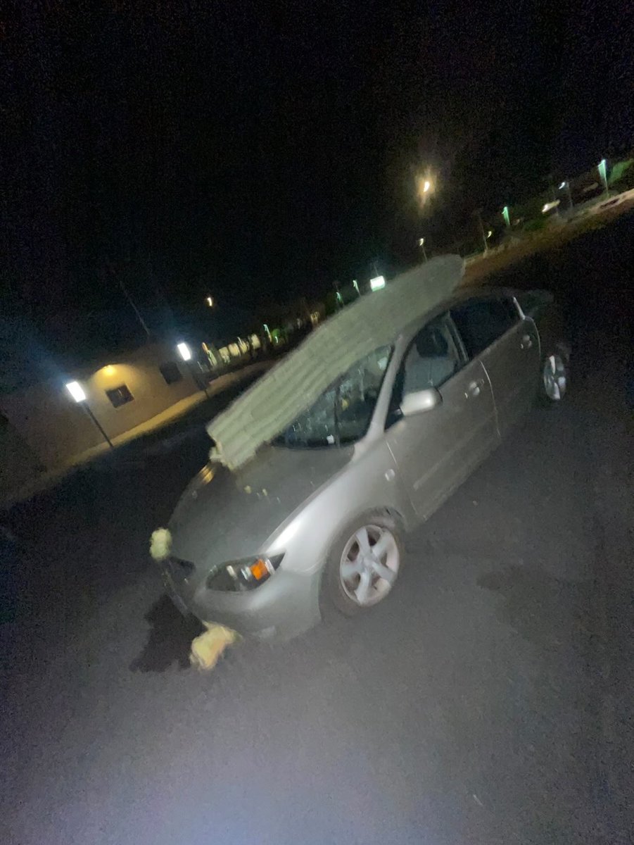 whatsuptucson's tweet image. Only in Tucson: A cactus on a car. As seen near the auto mall