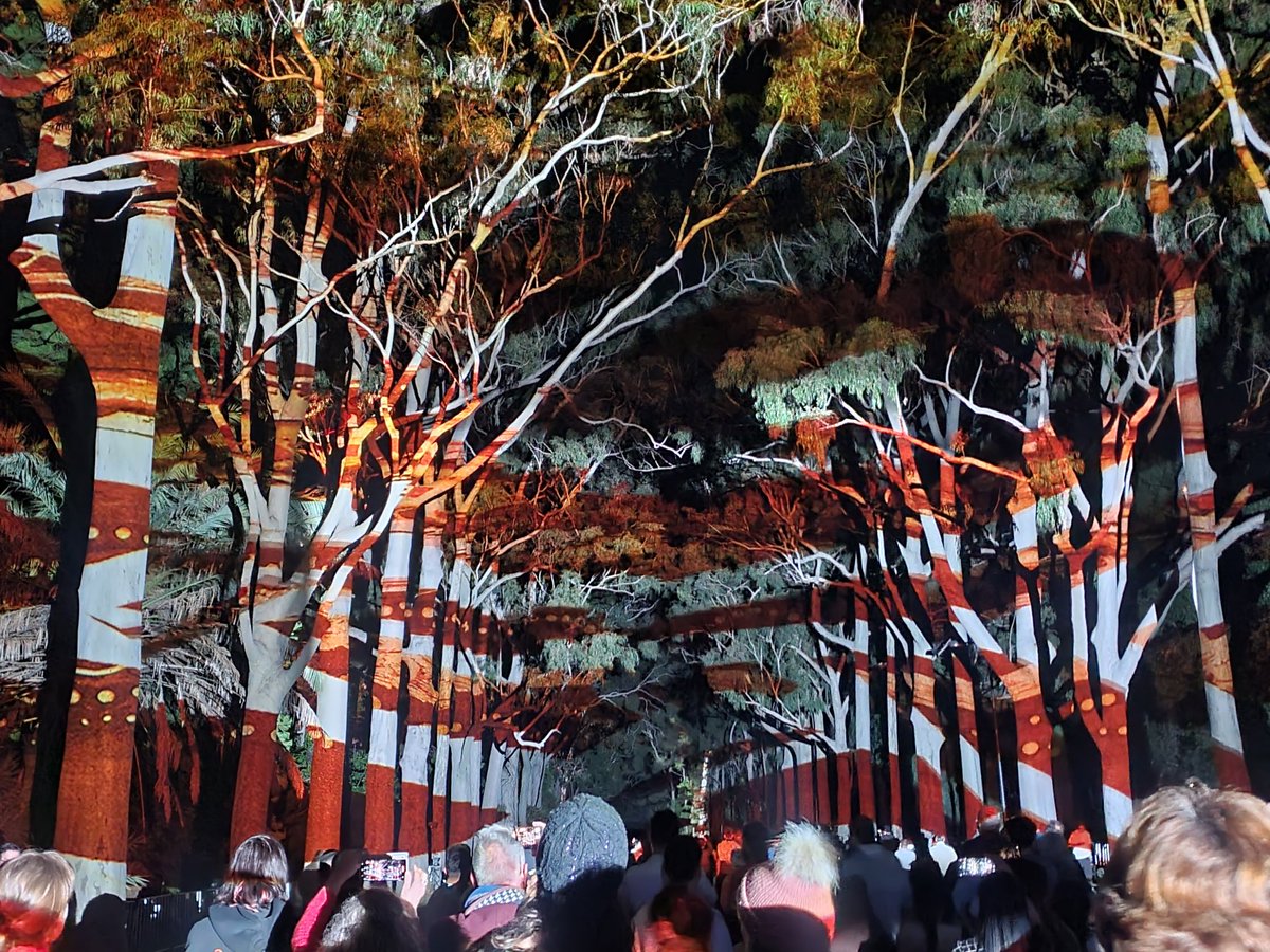 Mandy_McEvoy's tweet image. Last night tonight (Monday) to catch Boorna Waanginy : The Trees Speak 2024 in Kaarta Koomba / King&apos;sPark. I went last night, it never dissapoints ! #seeperth #Perth #perthevents