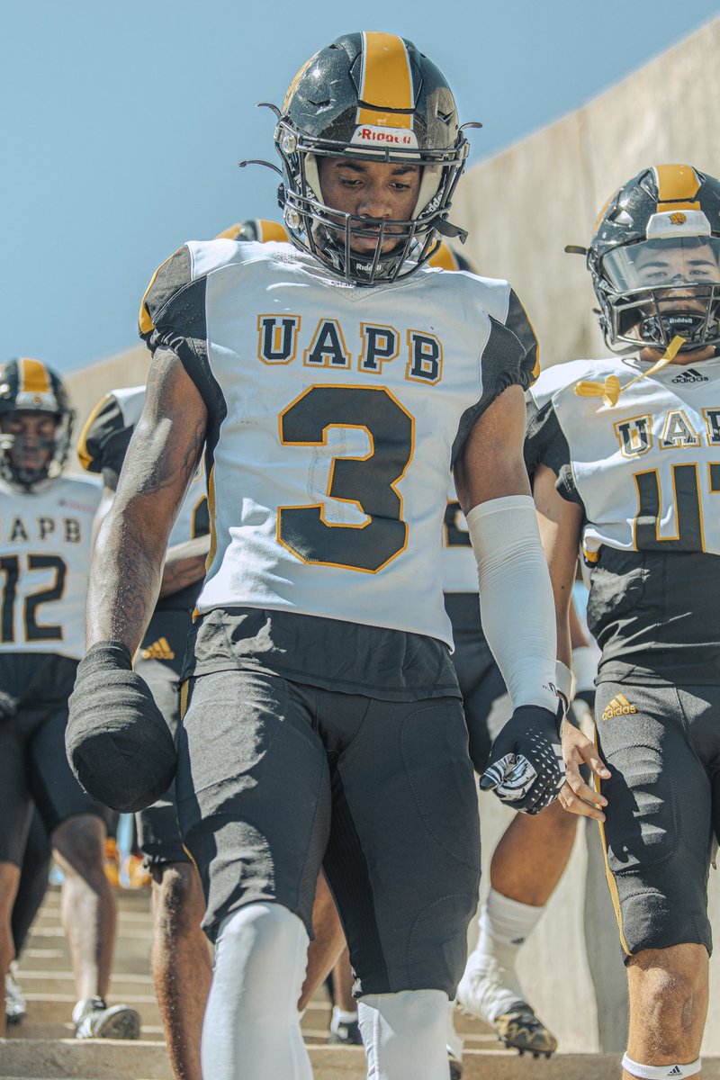 𝐅𝐫𝐨𝐦 𝐭𝐡𝐞 𝐝𝐞𝐬𝐤 𝐨𝐟 𝐕𝐢𝐜𝐞 𝐂𝐡𝐚𝐧𝐜𝐞𝐥𝐥𝐨𝐫 𝐨𝐟 𝐈𝐧𝐭𝐞𝐫𝐜𝐨𝐥𝐥𝐞𝐠𝐢𝐚𝐭𝐞 𝐀𝐭𝐡𝐥𝐞𝐭𝐢𝐜𝐬 | 𝐂𝐡𝐫𝐢𝐬 𝐑𝐨𝐛𝐢𝐧𝐬𝐨𝐧 🦁