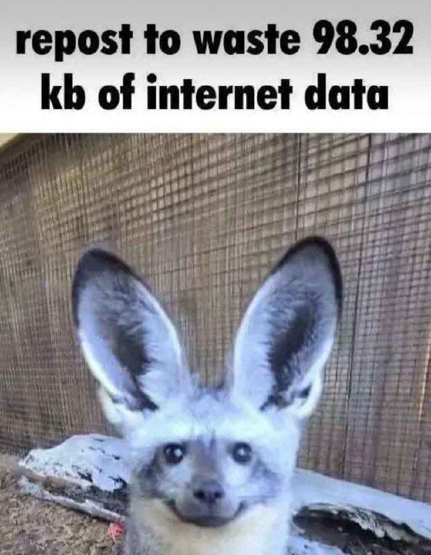 ThatOneCatsune's tweet image. :3