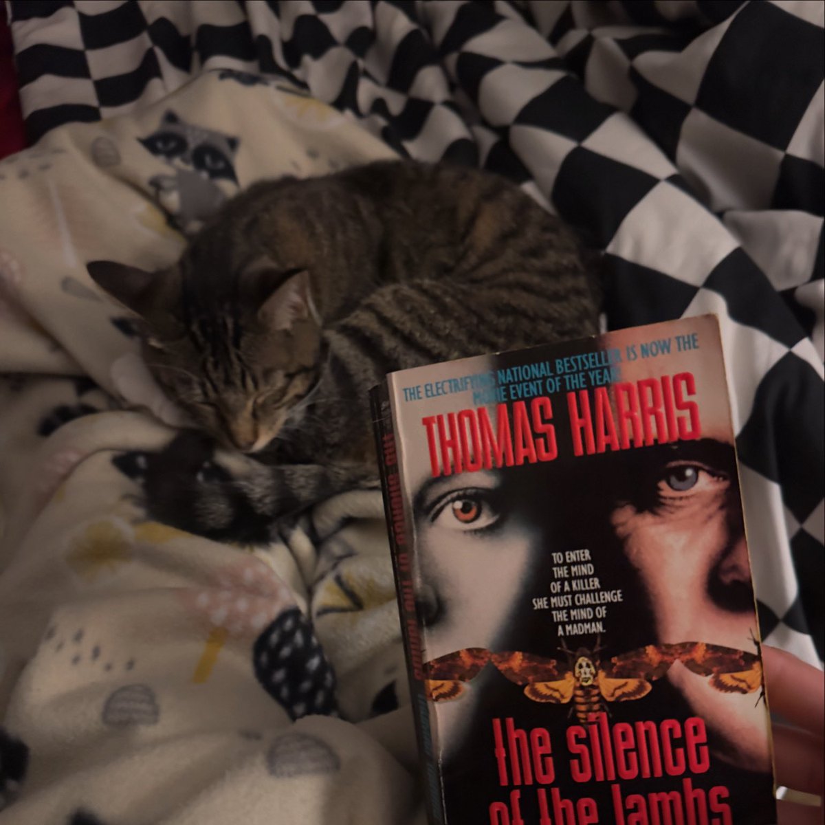 walkeereads's tweet photo. Late night #reads with #limpbiscuit found this small #paperback at the #friendsofthelibrarysale for 50 cents 🎉 #booktwitter #read #bookandmovie #silenceofthelambs #hanniballecter https://t.co/R3QjBYS3W0