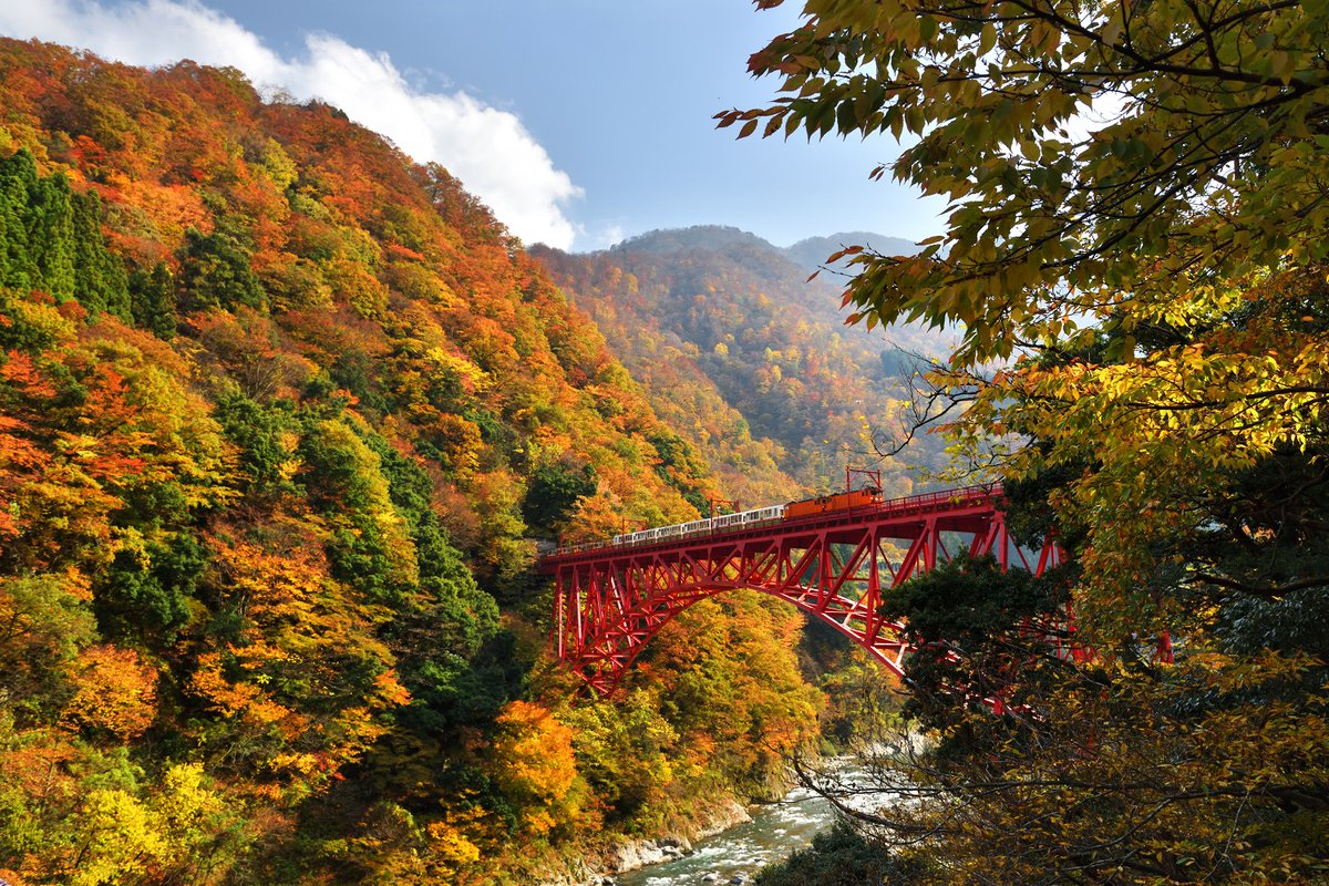 よく間違われちゃいます！
「アルペンルート」で見られる紅葉は・・・？

左だと思う🙋‍♀️→リポスト
右も見られそう・・・？→いいね🫶