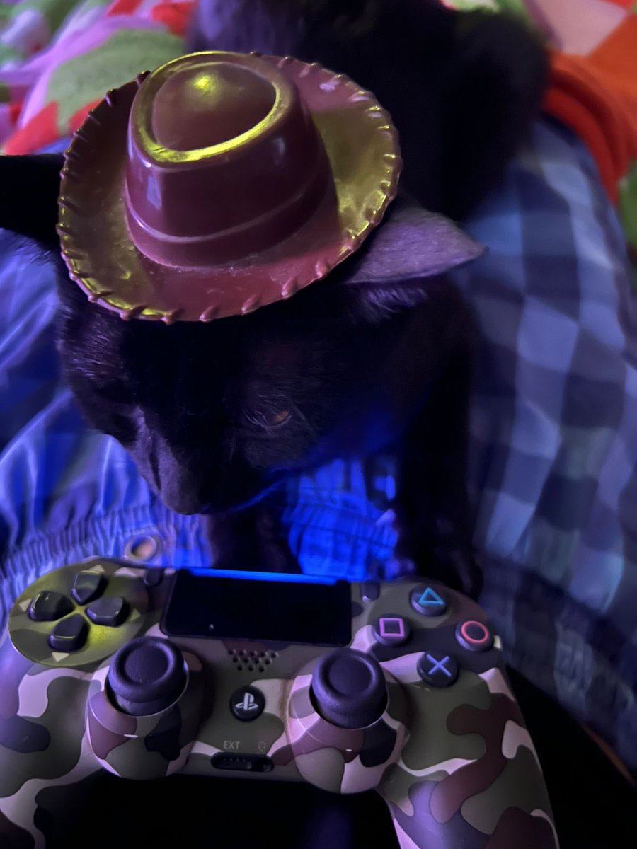 𝐀 𝐥 𝐢 𒉭 tweet media