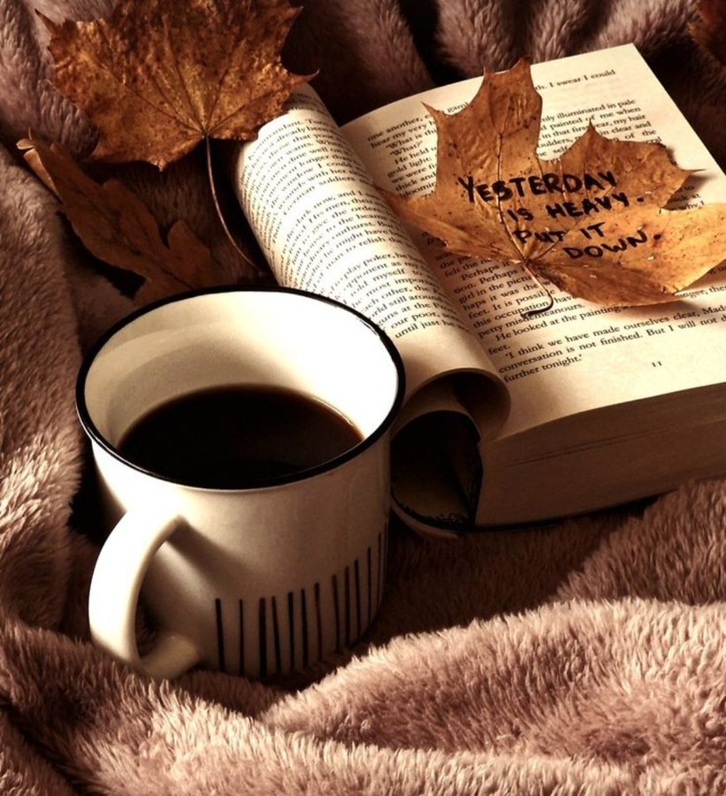 Nea24796135Nesa's tweet photo. Dobro jutro svima i srećan početak nove sedmice..ponedeljak ponovo 😉☕️🍀☀️🎶 https://t.co/QWSZccvh8K