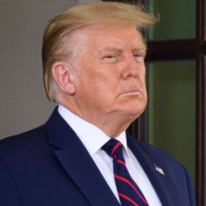 Resistance_SM's tweet image. 🇺🇸👏🎩Nos amis @elonmusk « @realDonaldTrump  doit gagner pour préserver la constitution, il doit #gagner pour #préserver la démocratie en Amérique. » il y aura obligatoirement une répercussion positive pour la 🇫🇷France