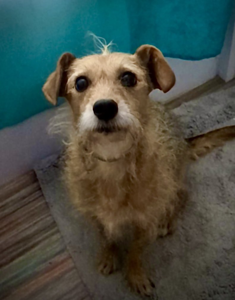 Teo Drake tweet media