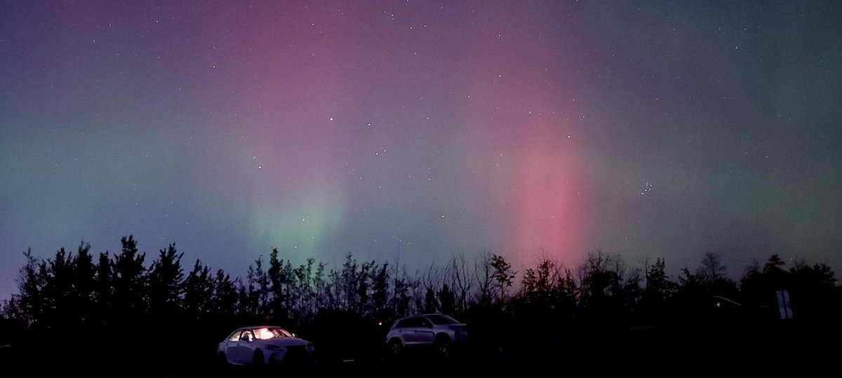 King Nooblit 🦋 tweet media