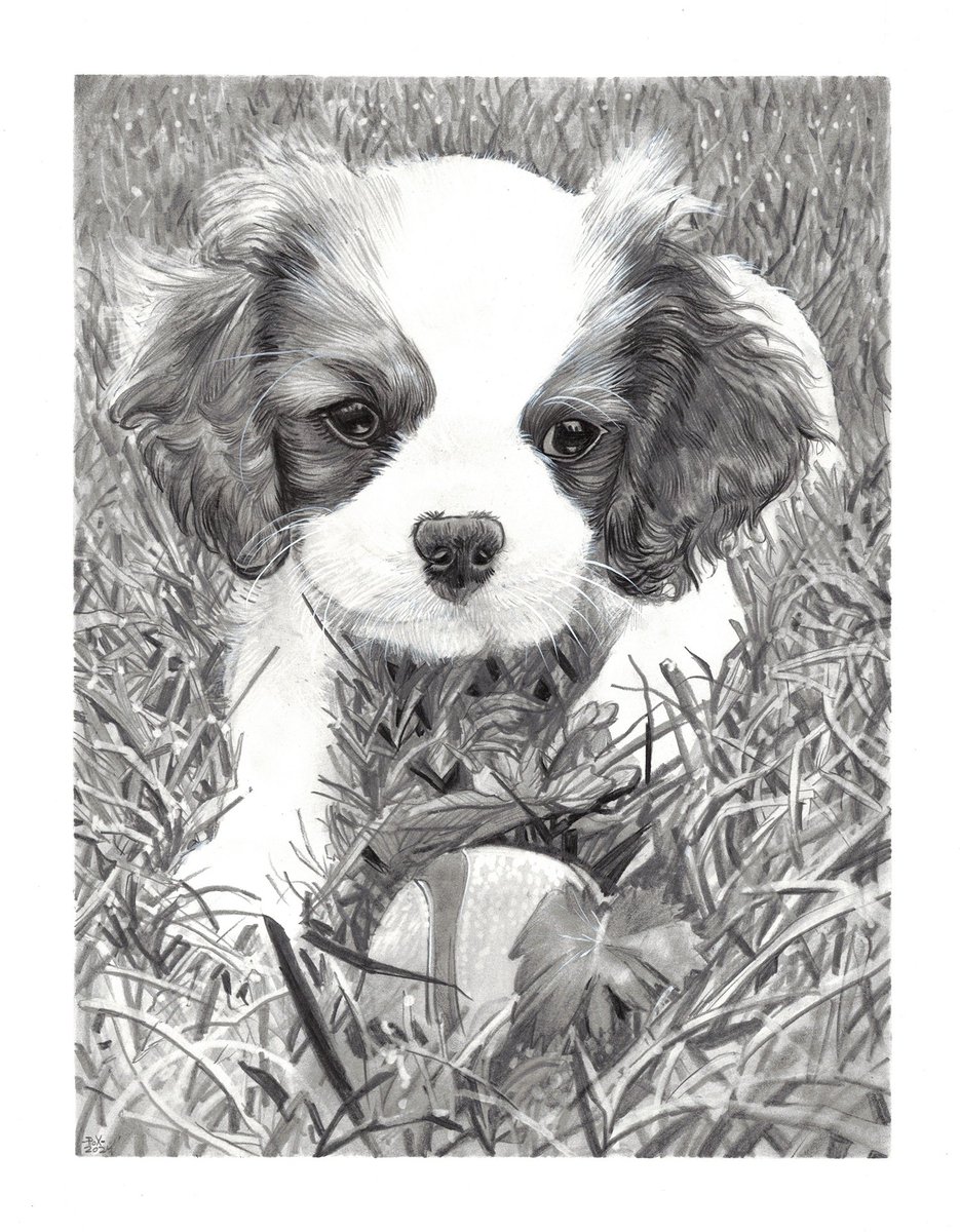 poxpower1's tweet photo. Just a puppy commission https://t.co/7Ai1EXf1ic