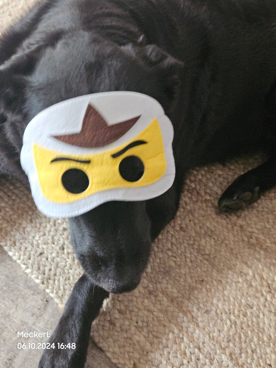 wurzelsebb's tweet photo. #Ninja - #Murmel :) https://t.co/iRZIe9N46X