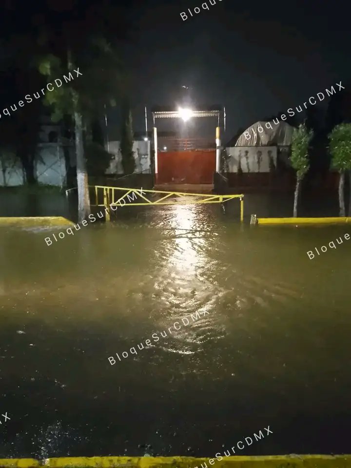 SinXochimilco's tweet photo. Se está saliendo el agua del canal sobre avenida Nuevo León barrio caltongo @Xochimilco_MX @chavezmsf @XochimilcoAl https://t.co/TJa0zz3uN5