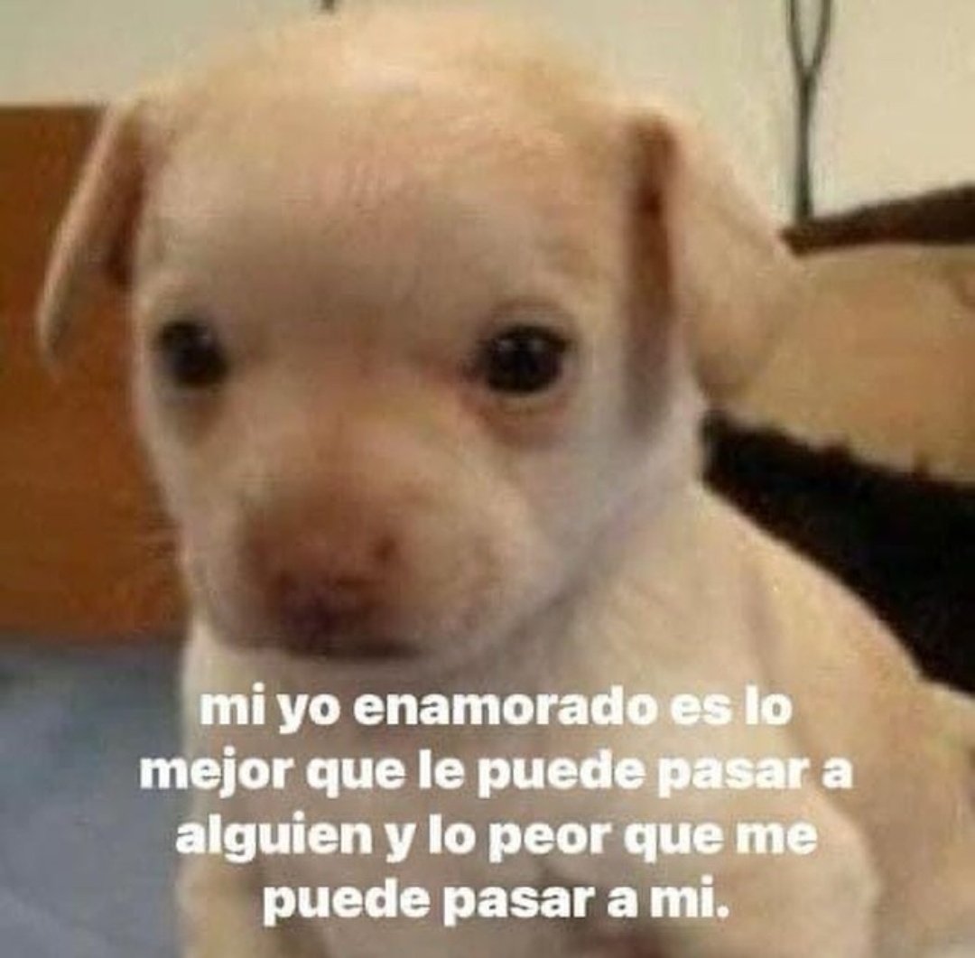 En Júpiter (@en_jupiter_) on Twitter photo 