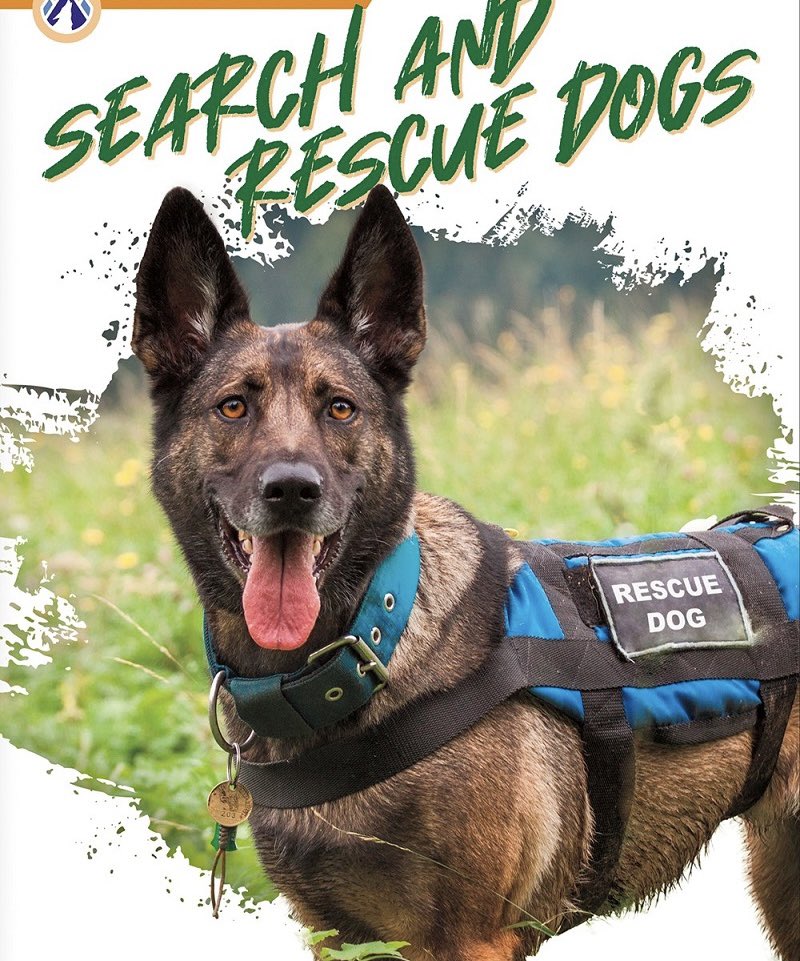 Sherry Reich tweet media