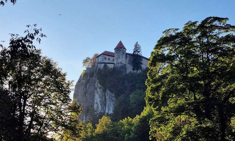 🌍Quantum B CEO Attends European Blockchain Week 2024🚀 
Read More: quantumblockchains.io/european-block…

#Blockchain #QuantumComputing #emergingtech