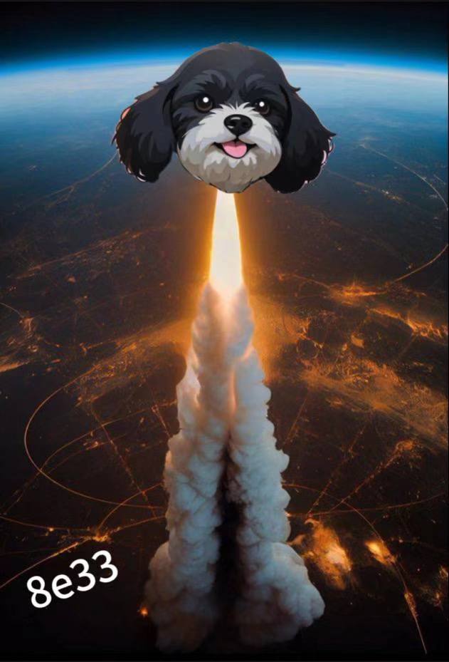 JUNBAO2022's tweet photo. @hebi555 #MARVIN马斯克一共将5条狗喊上了币安，DOGE SHIBA BABYDOGE FLOKI NEIRO（沾了DOGE的福） 他最爱的狗是MARVIN 没有理由不超过那5个狗
CA:0x70c29e99ca32592c0e88bb571b87444bb0e08e33
 $marvin #MARVIN https://t.co/2gvM4WUEAv
