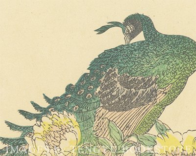 【国内在庫】 天牛書店イメージズ on X:  絵画/タペストリー