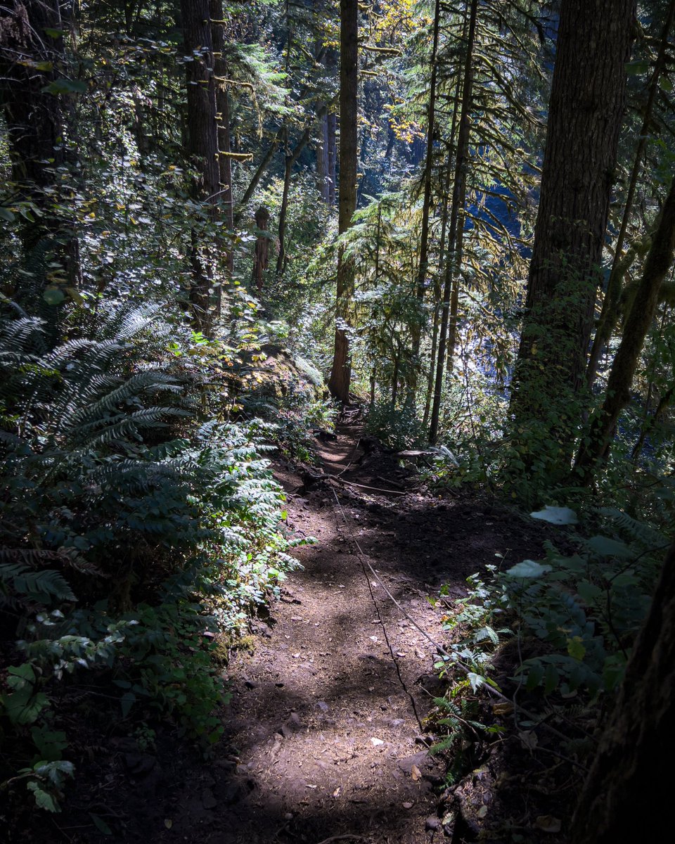 Went for a solo hike today. #oregon