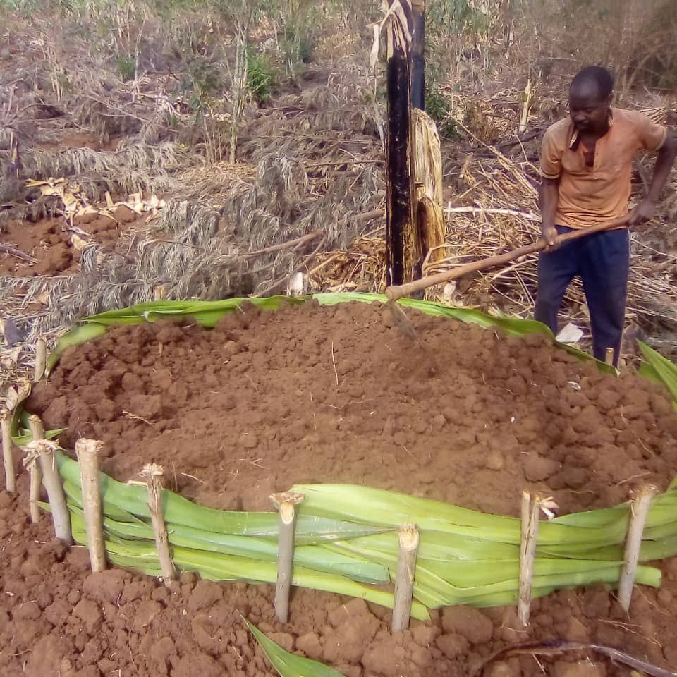 RwamaganaYouthVolunteers (@rwamaganayouth) on Twitter photo Urubyiruko rw’abakorerabushake muri <a href="/RwamaganaDistr/">Rwamagana District</a> mu Murenge wa Fumbwe ruri kubaka akarima k’igikoni ku muturage witwa Nsengimana Euphrem utuye mu Mudugudu wa Ndida mu Kagari ka Mununu , iwe niho hasanzwe hakorera Irerero ry’Umudugudu. Urubyiruko rw’abakorerabushake muri <a href="/RwamaganaDistr/">Rwamagana District</a> mu Murenge wa Fumbwe ruri kubaka akarima k’igikoni ku muturage witwa Nsengimana Euphrem utuye mu Mudugudu wa Ndida mu Kagari ka Mununu , iwe niho hasanzwe hakorera Irerero ry’Umudugudu.