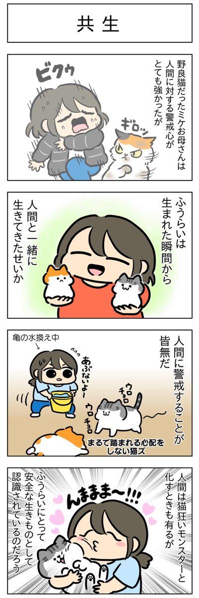 相性・共生│フェリシモ猫部 https://t.co/65DvFVBhEh 
