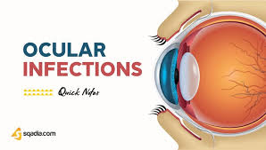 📢 Call for Papers! 📷📝

A Comparative Study on Bacterial Spectrum and Antibiotic Resistance Patterns of External and Intraocular Ocular Infections!
Ocular infections pose a significant challenge, impacting both external structures and intraocular compartments of the eye.