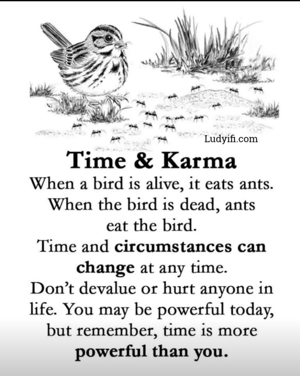 patotesh's tweet photo. Undeniable! https://t.co/pRutqjTc5M