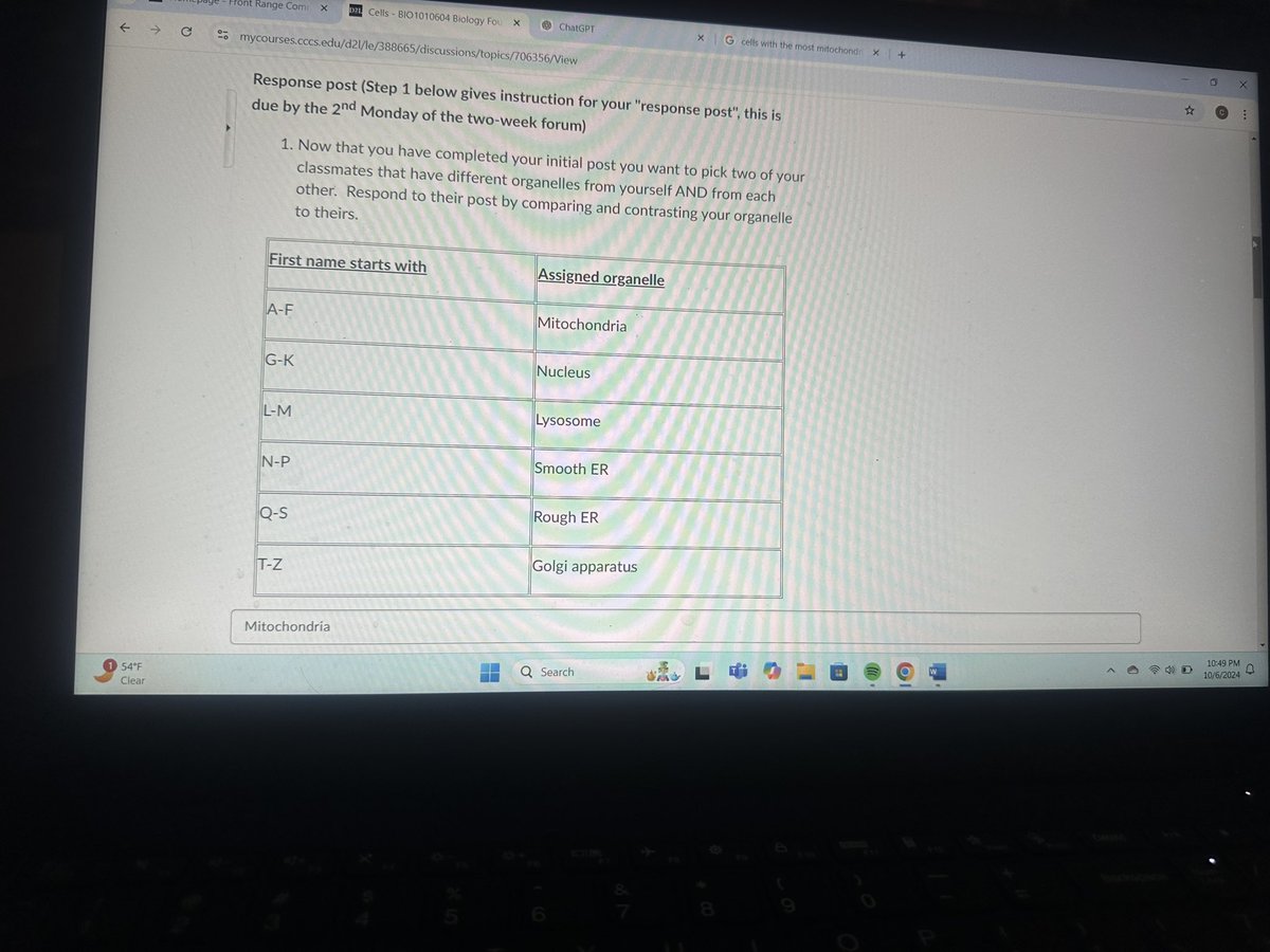 Ozcode's tweet image. Dying but still locked in