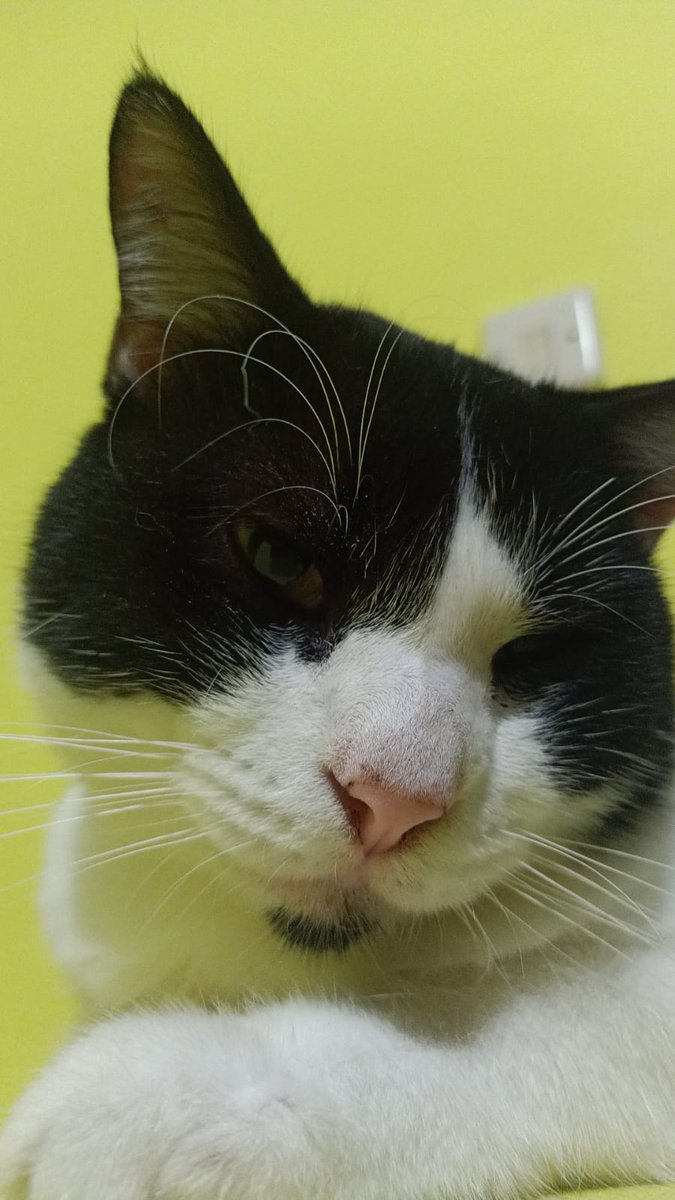 Wajah tampan, sangar, dan rupawan