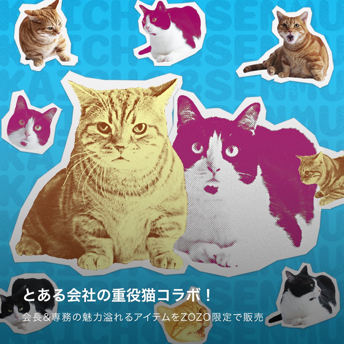 皆様買いましょう。