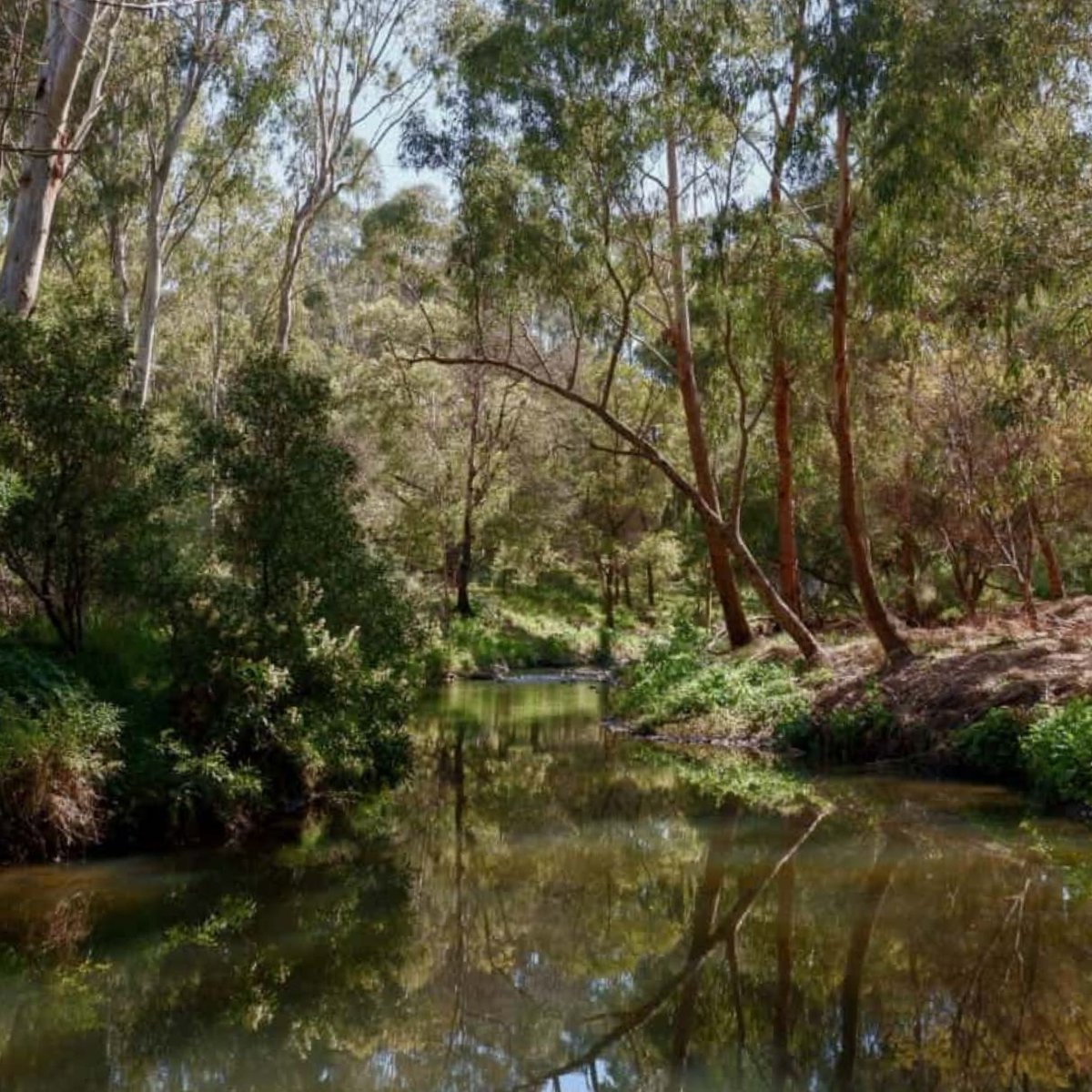 University of Melbourne (@unimelb) on Twitter photo Can you imagine living in a city brimming with biodiverse habitats and green public spaces? ๐ฑ
Stage One of <a href="/MSDSocial/">Melbourne School of Design</a>'s Melbourne Biodiversity Network project with OFFICE, supported by the Lord Mayor's Charitable Foundation, has identified under-utilised green corridors eight Can you imagine living in a city brimming with biodiverse habitats and green public spaces? ๐ฑ
Stage One of <a href="/MSDSocial/">Melbourne School of Design</a>'s Melbourne Biodiversity Network project with OFFICE, supported by the Lord Mayor's Charitable Foundation, has identified under-utilised green corridors eight