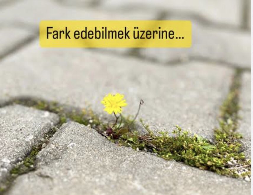 ebry_2012's tweet image. Yol kenarındaki bir çiçekteki akıl tüm dünyadaki insanların aklından daha fazladır. Ot diye üstünden geçip gittikleri şeyde müthiş bir akıl ve düzen var. Çevresindekilere Allah’ın sanatına baktığını bilerek bakan Allah’ı çok sever.