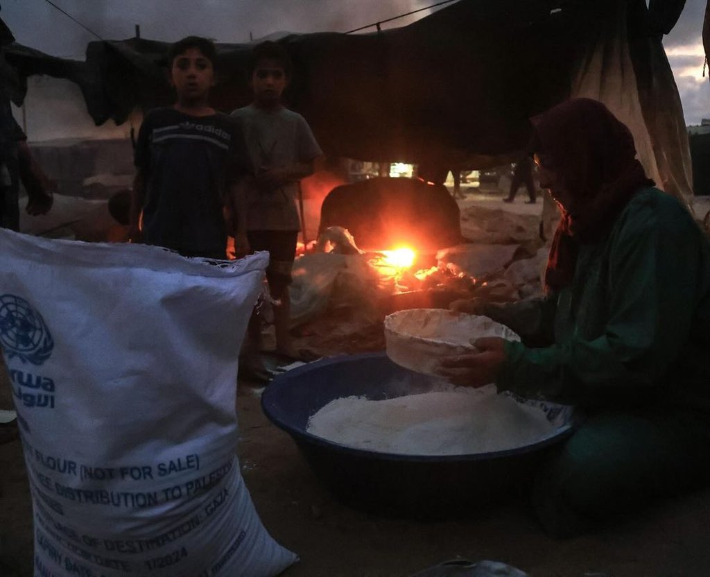 Timesofgaza's tweet photo. A year of displacement and death | Gaza. https://t.co/9R9BYYsHpJ