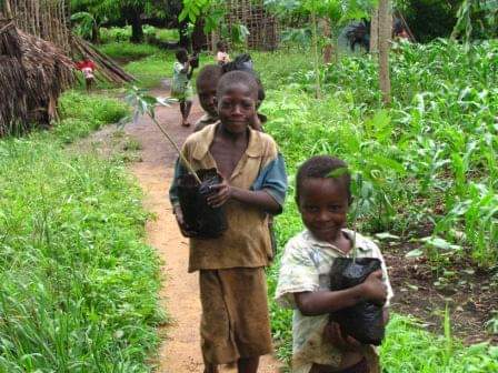 Joseph Masembe (@josephmasembe1) on Twitter photo Children still need a childhood with dirt, mud, puddles, trees, sticks and tadpoles. Let nature be your teacher with <a href="/LilHandsGoGreen/">Little Hands Go Green</a> by preserving the environment. #GoGreenUg <a href="/RotaryKibuli/">Rotary Club of Kampala Kibuli</a>. Children still need a childhood with dirt, mud, puddles, trees, sticks and tadpoles. Let nature be your teacher with <a href="/LilHandsGoGreen/">Little Hands Go Green</a> by preserving the environment. #GoGreenUg <a href="/RotaryKibuli/">Rotary Club of Kampala Kibuli</a>.