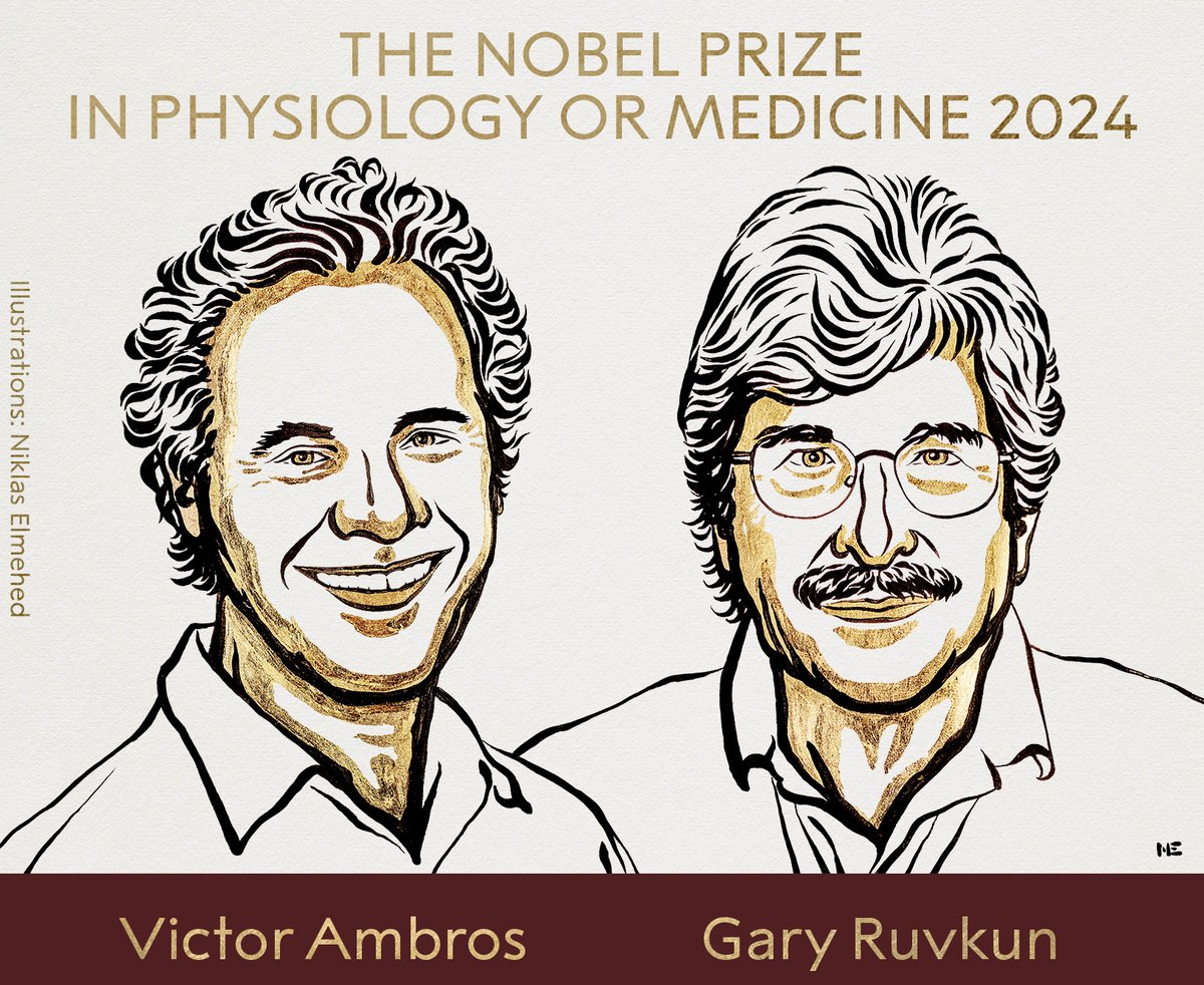 Massachusetts Institute of Technology (MIT) (@mit) on Twitter photo Congratulations to MIT alumnus Victor Ambros '75, PhD '79 and former postdoc <a href="/gary_ruvkun/">Gary Ruvkun</a> for winning a Nobel Prize in Medicine or Physiology! 🏅 <a href="/MIT_alumni/">MIT Alumni</a> Congratulations to MIT alumnus Victor Ambros '75, PhD '79 and former postdoc <a href="/gary_ruvkun/">Gary Ruvkun</a> for winning a Nobel Prize in Medicine or Physiology! 🏅 <a href="/MIT_alumni/">MIT Alumni</a>