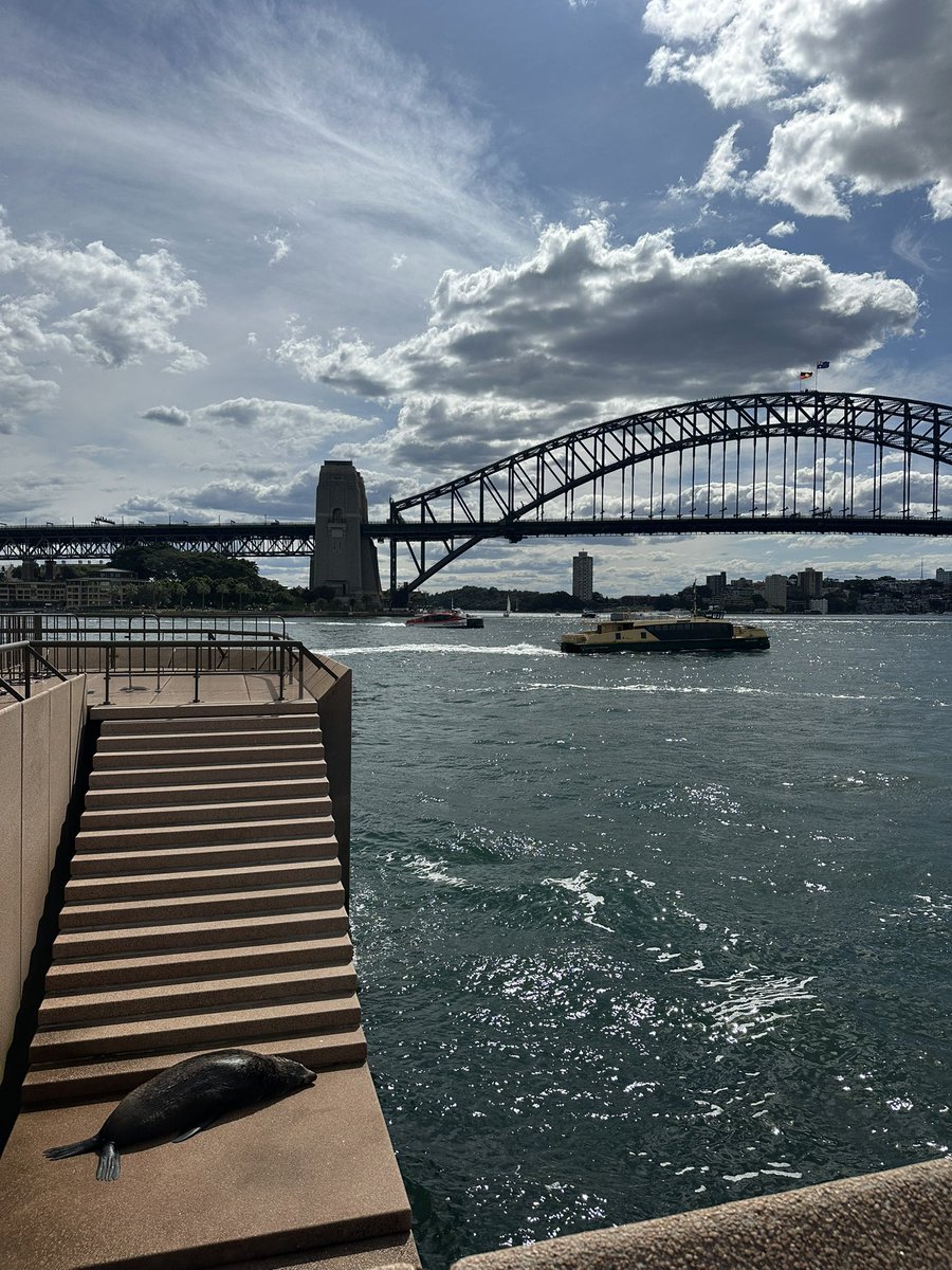 KHatton00's tweet photo. SYD 🇦🇺 https://t.co/0IN6ApthPD
