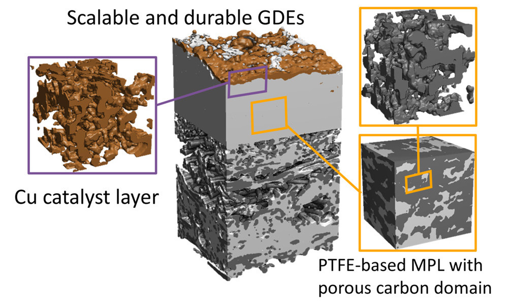 ♻ Scalable and stable: researchers demonstrate largest CO2 reduction to date using CO2 electrolysis. It´s a pioneering step towards producing CO2-neutral fuels and chemicals using CO2 electrolysis. Their work was recently published in "Joule": hi-ern.de/en/news/2024/s…