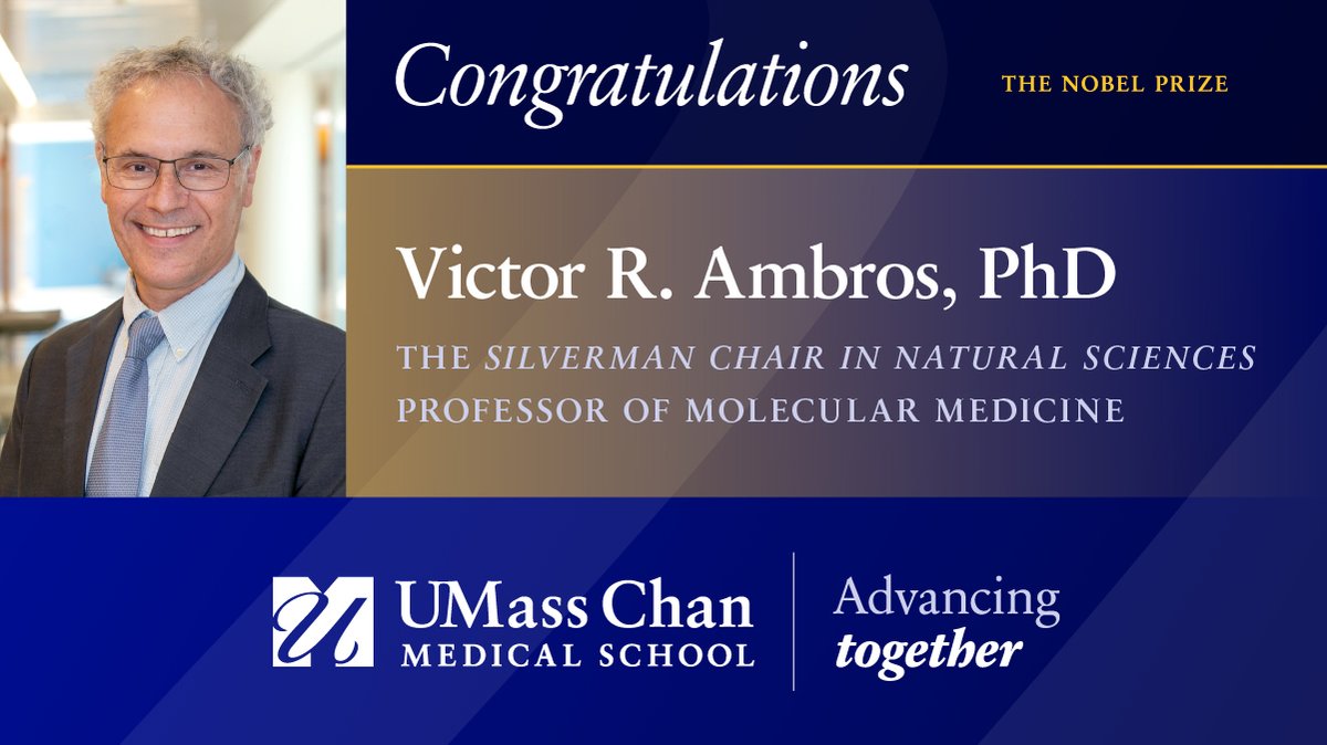 UMass Chan Medical School (@umasschan) on Twitter photo Victor R. Ambros, PhD, <a href="/UMassChan/">UMass Chan Medical School</a>'s Silverman Chair in Natural Sciences and professor of molecular medicine, has won a Nobel Prize. Media: Email UMassChanCommunications@umassmed.edu for news conference info and interview requests. #NobelPrize #BreakingNews #AdvancingTogether Victor R. Ambros, PhD, <a href="/UMassChan/">UMass Chan Medical School</a>'s Silverman Chair in Natural Sciences and professor of molecular medicine, has won a Nobel Prize. Media: Email UMassChanCommunications@umassmed.edu for news conference info and interview requests. #NobelPrize #BreakingNews #AdvancingTogether