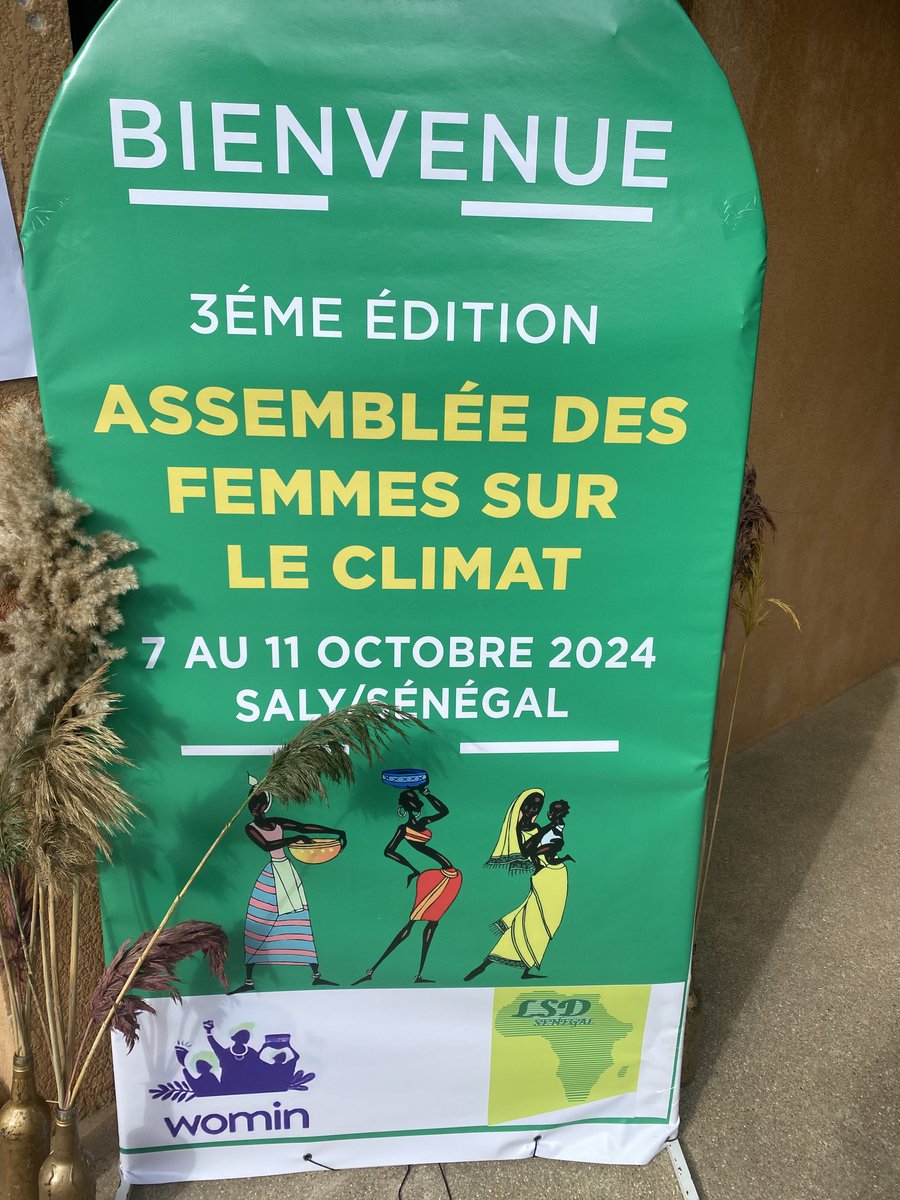 Khady Camara Écoféministe tweet media