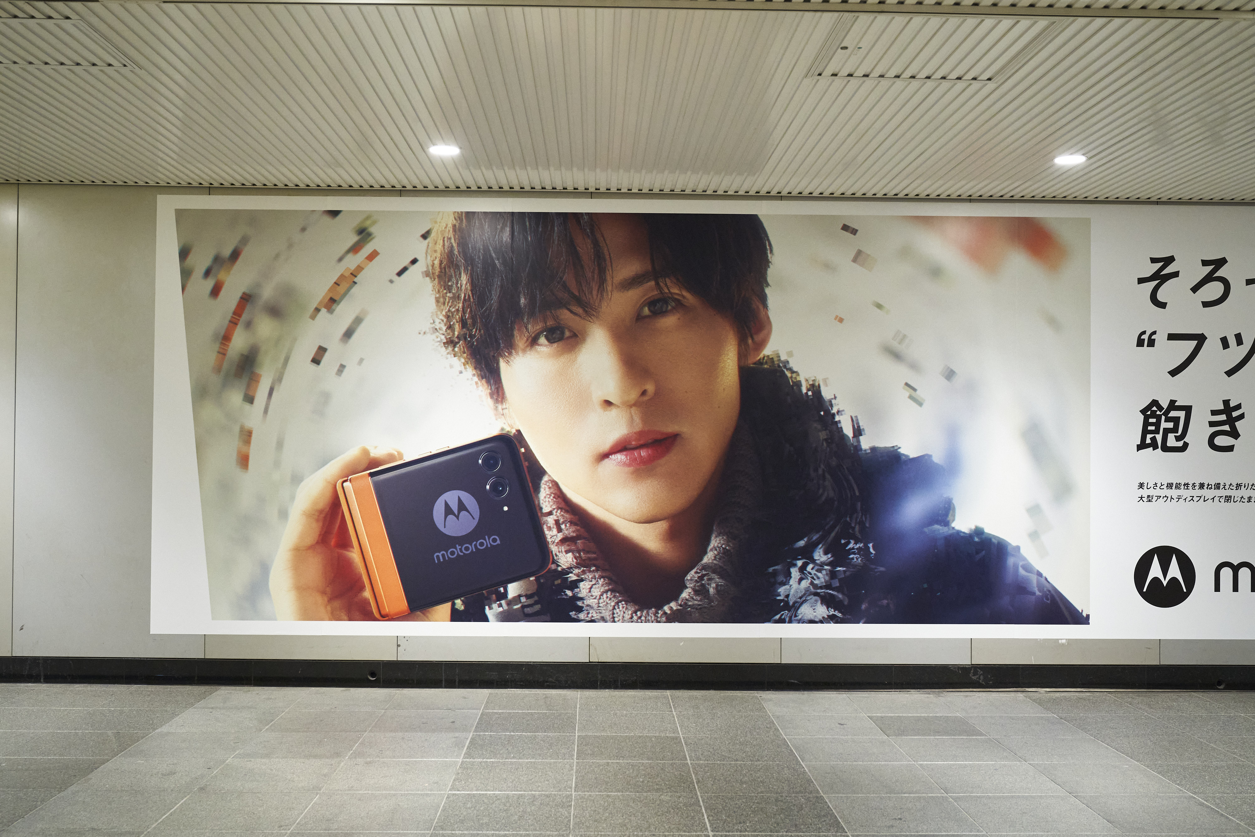 目黒蓮　パネル　ポスター　TOSHIBA レグザブランドアンバサダーに目黒 蓮さんが就任。“高画質、高