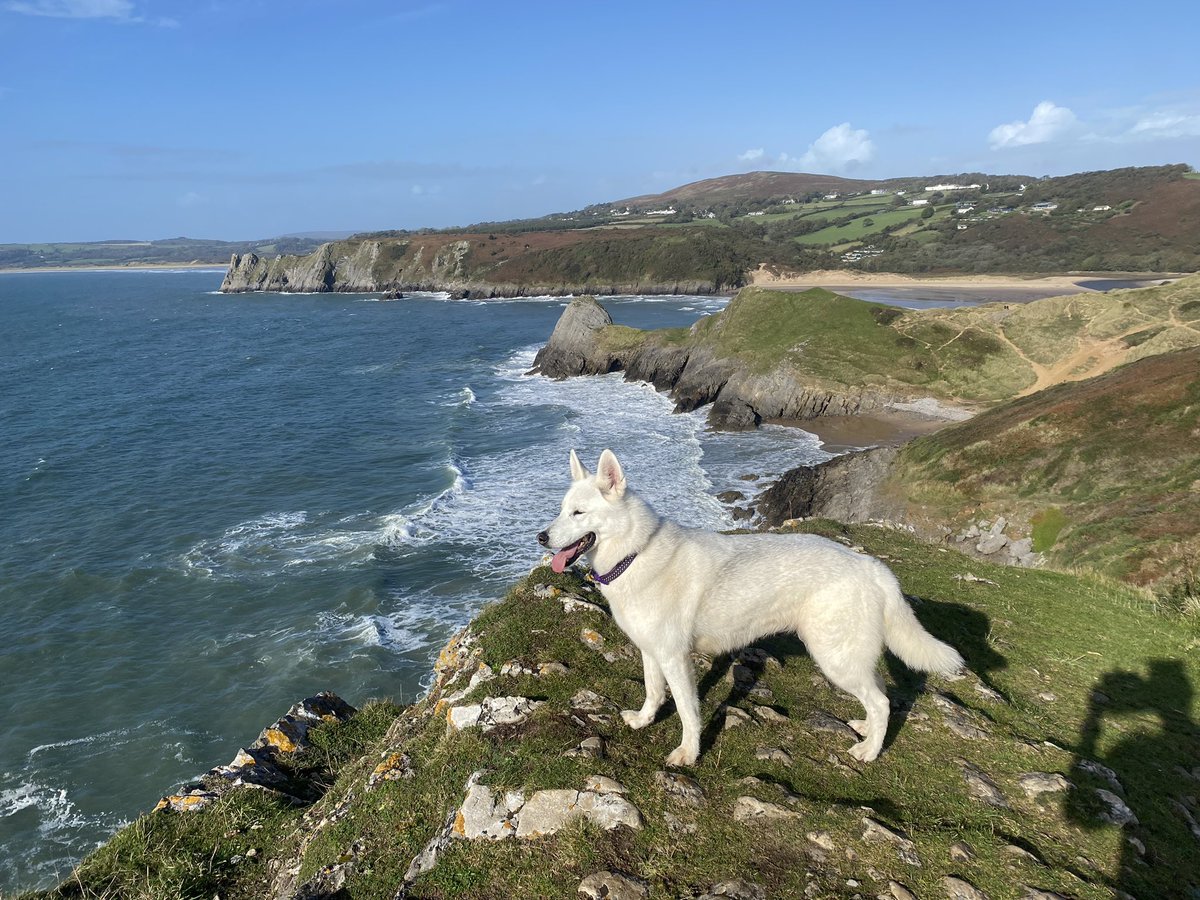 NonEvans's tweet image. Good morning from sunny South Wales #gower #threecliffs