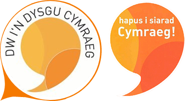 Calling all senior managers! 

Free support in developing Welsh language services in your workplace. Let's promote Welsh together! 🗣️

ow.ly/T7e350TFoY2