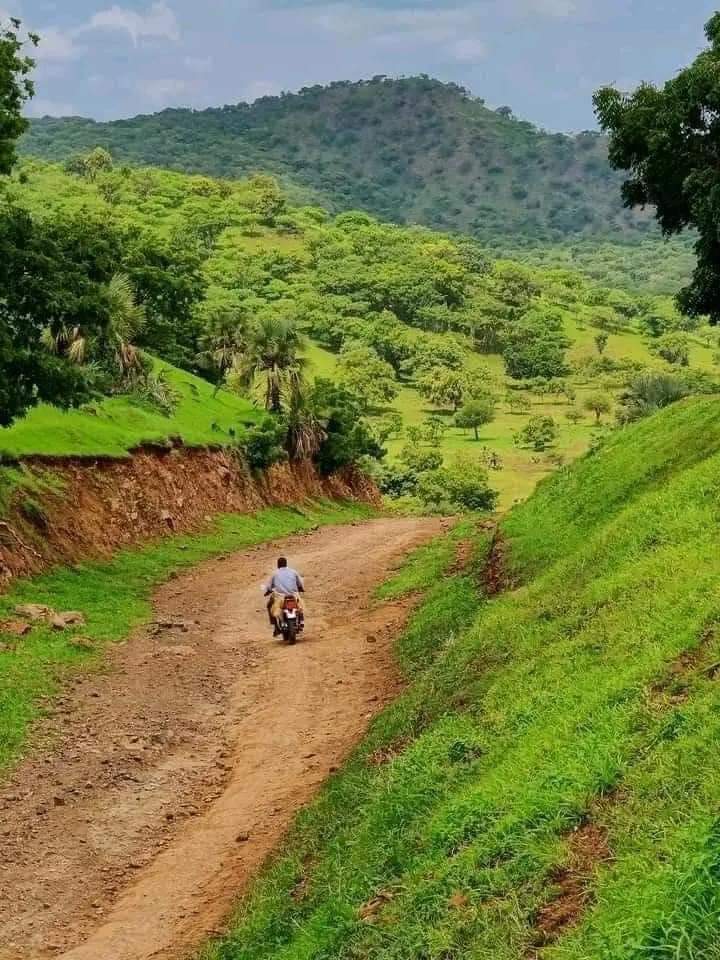 #السودان | صباح الخير يا وطن 🇸🇩 من جبال الليري الشرقية - جنوب كردفان.

#برق_السودان