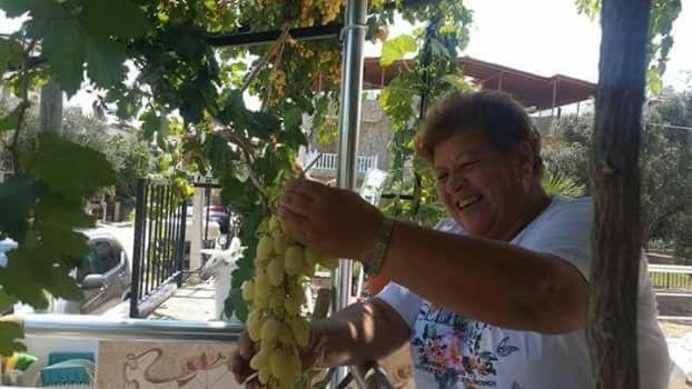 Teyzem Ayşe Çelebi. 
Aydın Didim’de manav tarafından başının sağ yerinden pompalı tüfekle vurularak öldürüldü. Polisten yardım istediği halde evinin balkonundaki tuvalete giderken vuruldu. Sebebi yoktu ve vurulduğu manava sofrasını açmış biriydi zümrüt gözlüm. Manav 14 yıl hapis+
