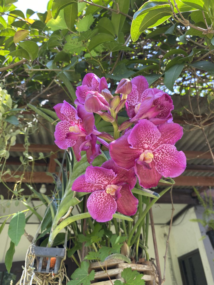 Happy Monday 🙏🙏🥰❤️❤️♥️🌹💐💕😘